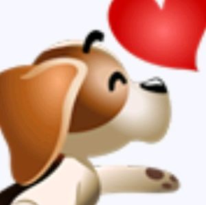 Meet your Posher, Dian